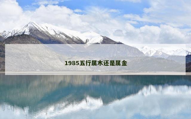 1985五行属木还是属金