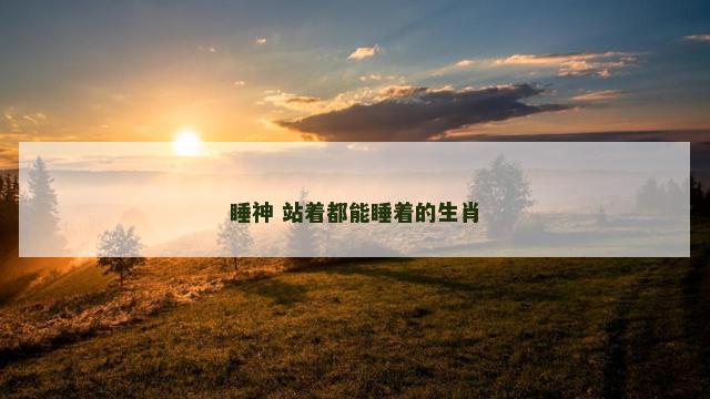 睡神 站着都能睡着的生肖