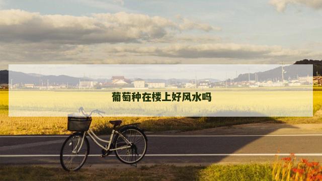 葡萄种在楼上好风水吗