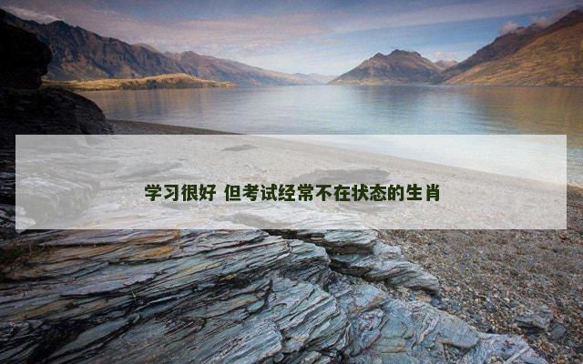 学习很好 但考试经常不在状态的生肖