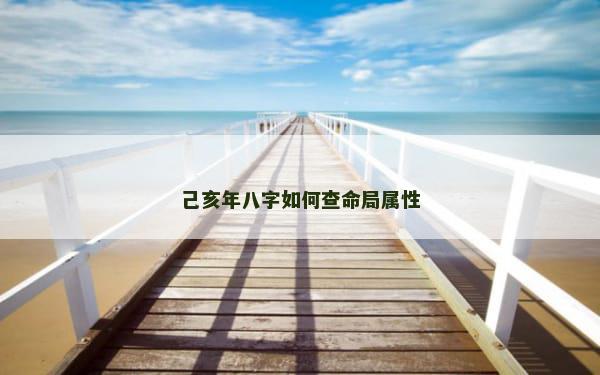 己亥年八字如何查命局属性