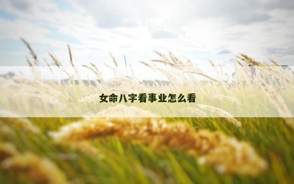 女命八字看事业怎么看