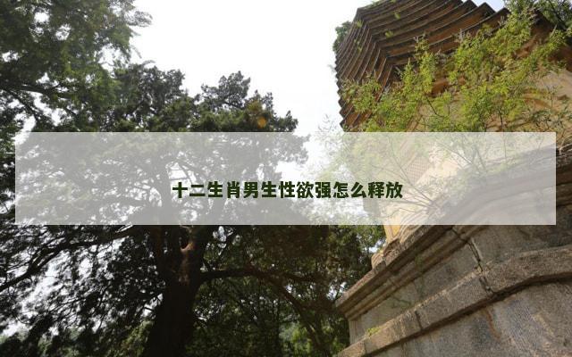 十二生肖男生性欲强怎么释放