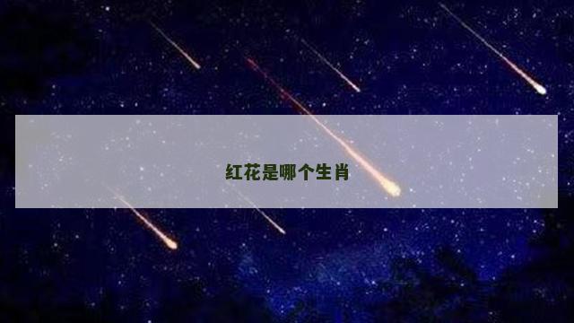 红花是哪个生肖