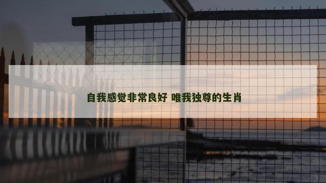 自我感觉非常良好 唯我独尊的生肖