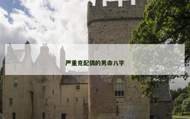 严重克配偶的男命八字