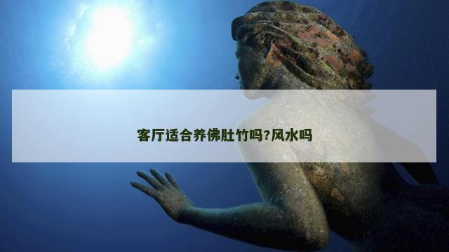 客厅适合养佛肚竹吗?风水吗