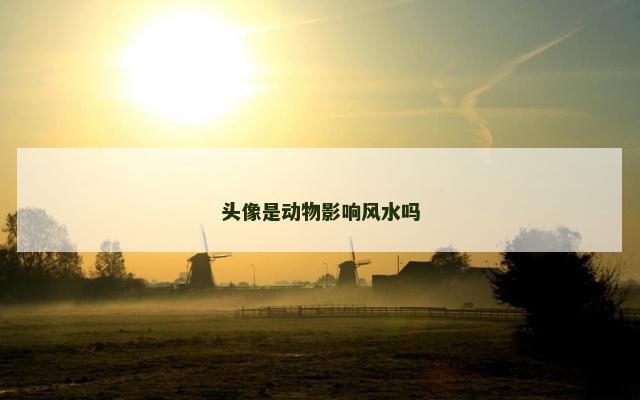 头像是动物影响风水吗