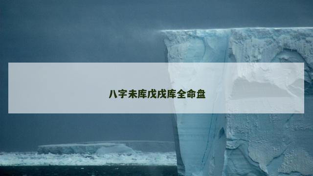 八字未库戊戌库全命盘