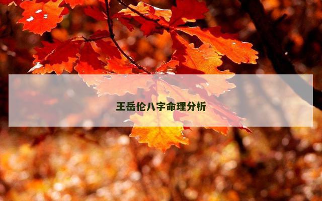 王岳伦八字命理分析