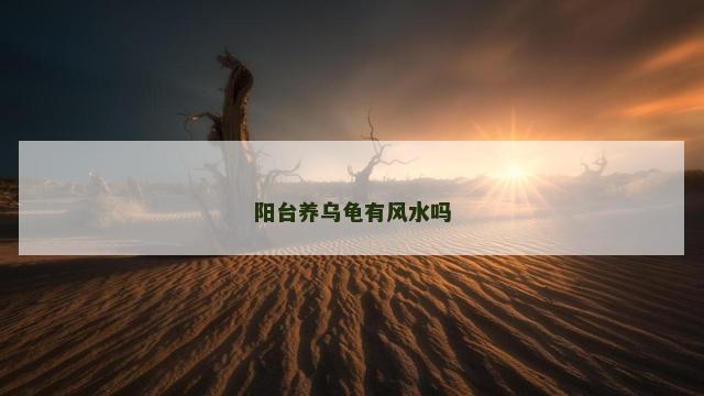 阳台养乌龟有风水吗