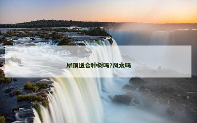 屋顶适合种树吗?风水吗