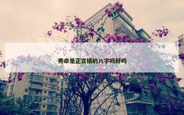 男命是正宫格的八字吗好吗