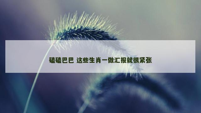 磕磕巴巴 这些生肖一做汇报就很紧张