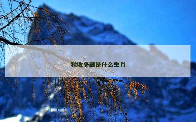 秋收冬藏是什么生肖