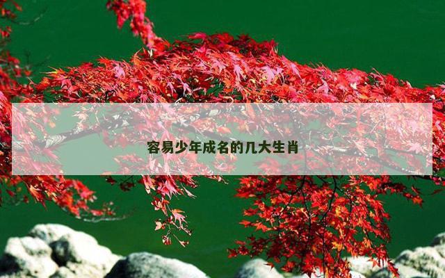 容易少年成名的几大生肖