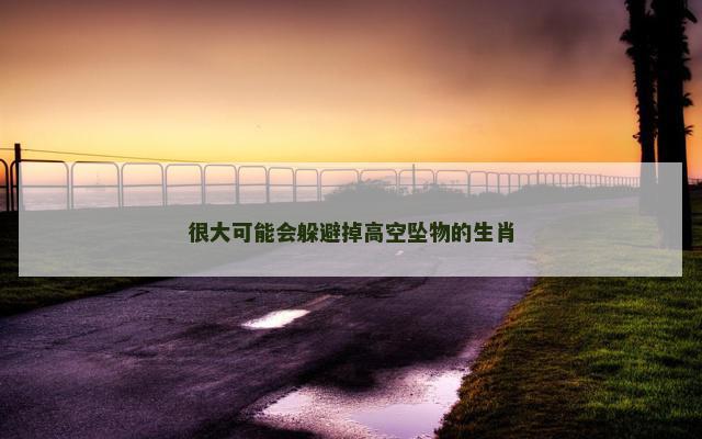 很大可能会躲避掉高空坠物的生肖