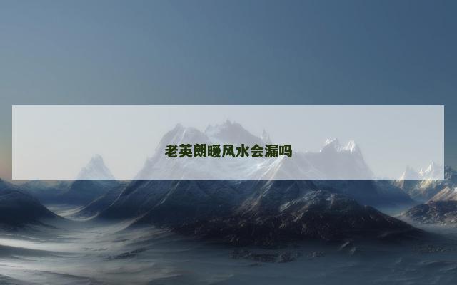 老英朗暖风水会漏吗