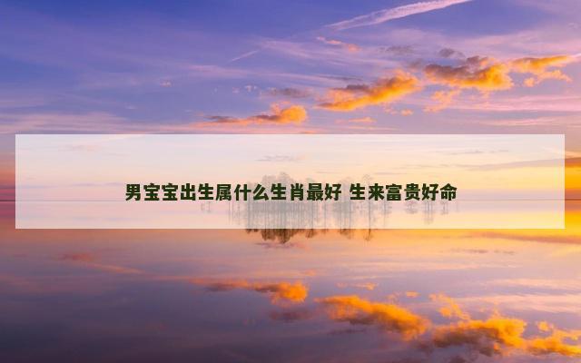 男宝宝出生属什么生肖最好 生来富贵好命