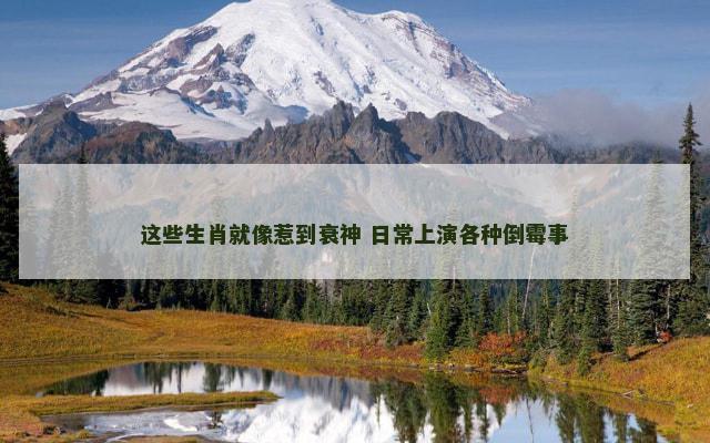 这些生肖就像惹到衰神 日常上演各种倒霉事