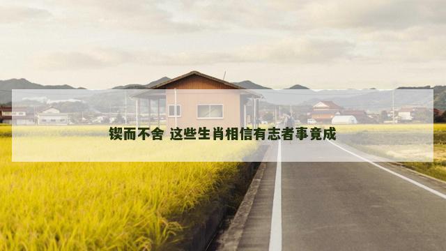 锲而不舍 这些生肖相信有志者事竟成