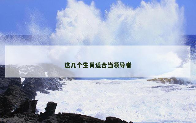 这几个生肖适合当领导者