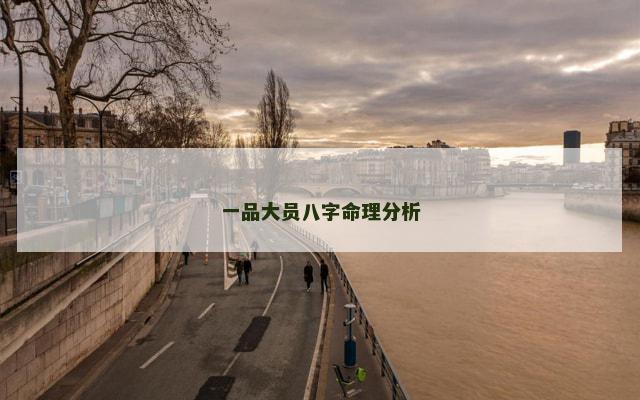一品大员八字命理分析
