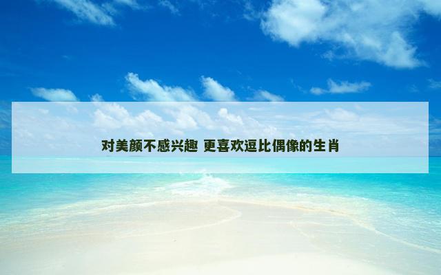 对美颜不感兴趣 更喜欢逗比偶像的生肖