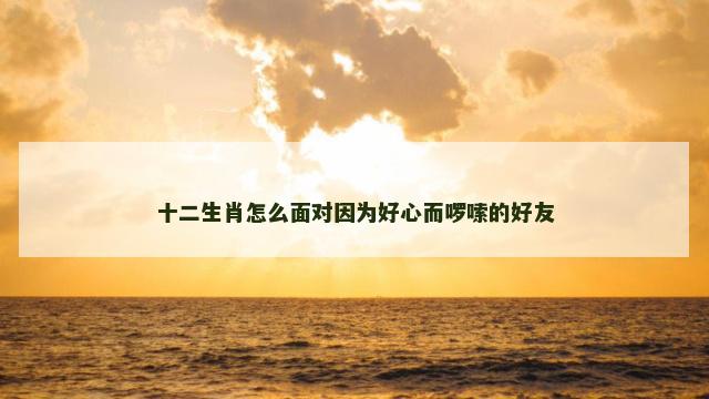十二生肖怎么面对因为好心而啰嗦的好友
