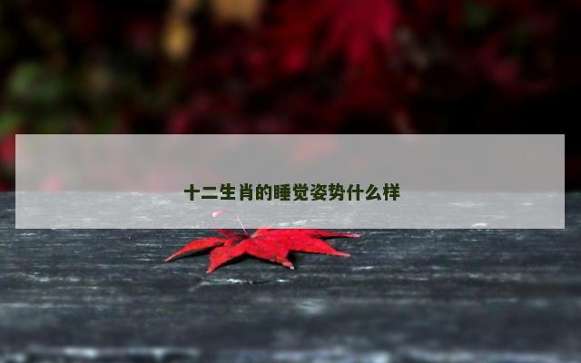 十二生肖的睡觉姿势什么样