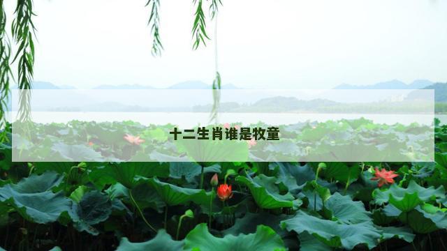 十二生肖谁是牧童