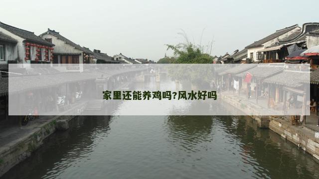 家里还能养鸡吗?风水好吗