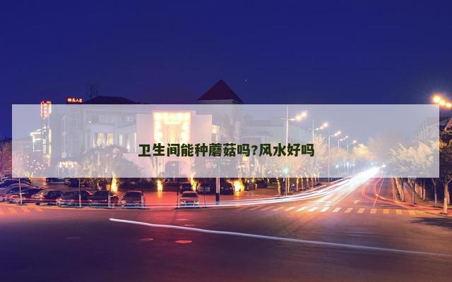 卫生间能种蘑菇吗?风水好吗