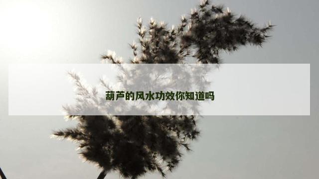 葫芦的风水功效你知道吗