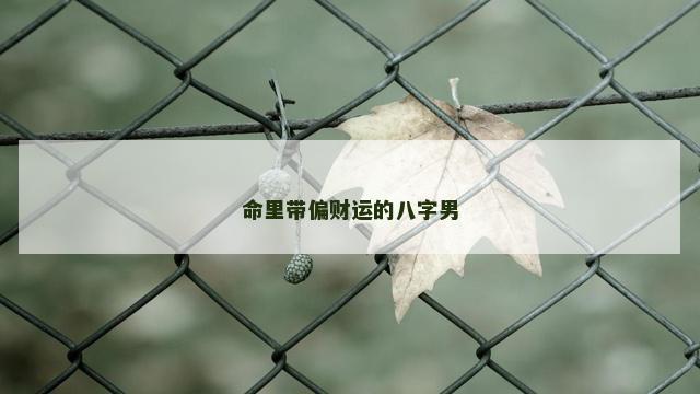 命里带偏财运的八字男