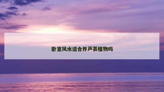 卧室风水适合养芦荟植物吗