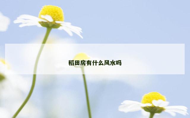 稻田房有什么风水吗