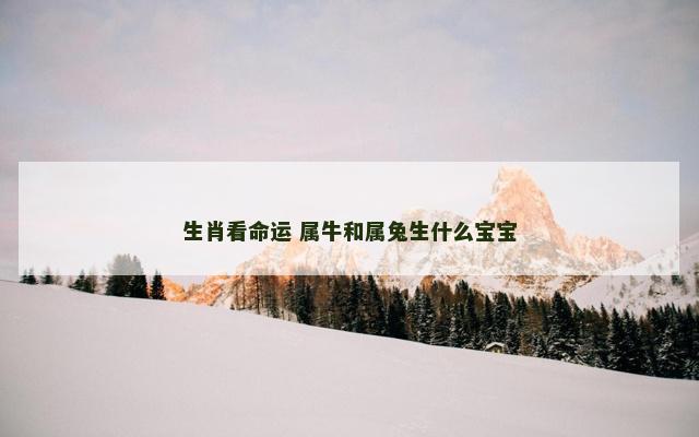 生肖看命运 属牛和属兔生什么宝宝