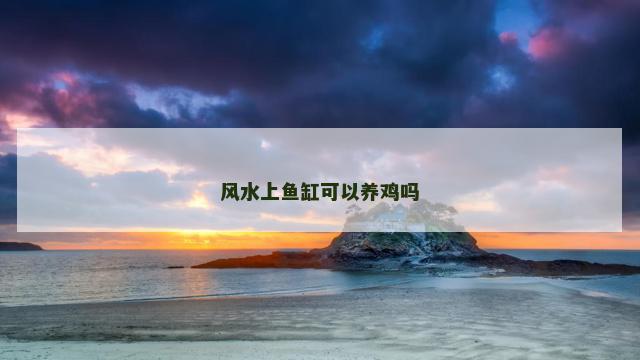 风水上鱼缸可以养鸡吗