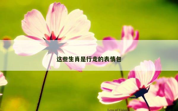 这些生肖是行走的表情包