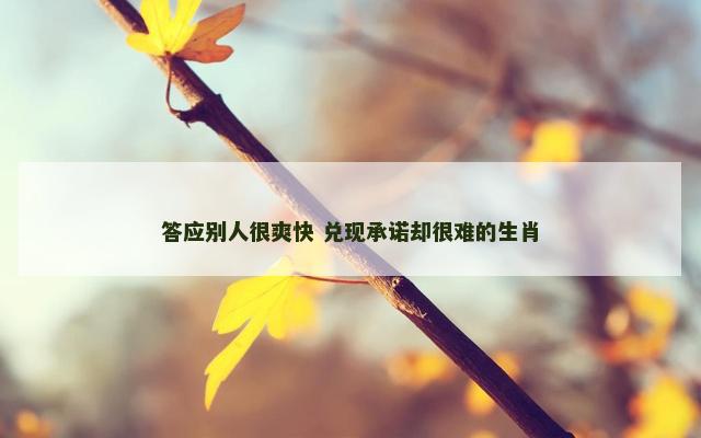 答应别人很爽快 兑现承诺却很难的生肖
