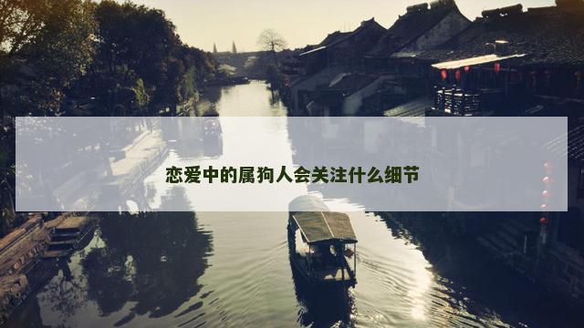 恋爱中的属狗人会关注什么细节