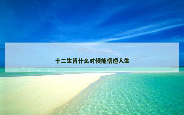 十二生肖什么时候能悟透人生