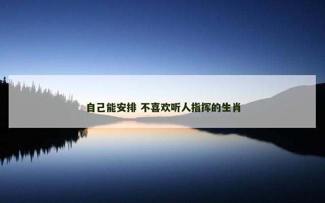 自己能安排 不喜欢听人指挥的生肖