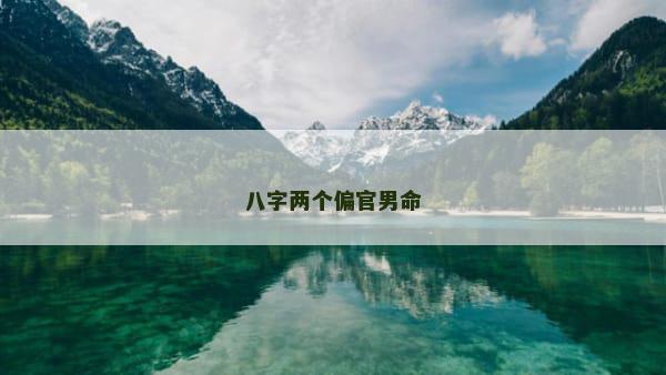 八字两个偏官男命