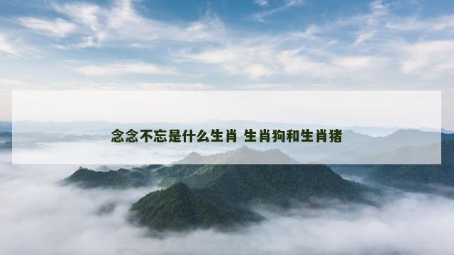 念念不忘是什么生肖 生肖狗和生肖猪