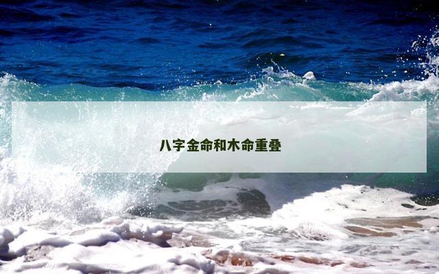 八字金命和木命重叠