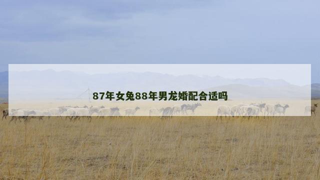 87年女兔88年男龙婚配合适吗