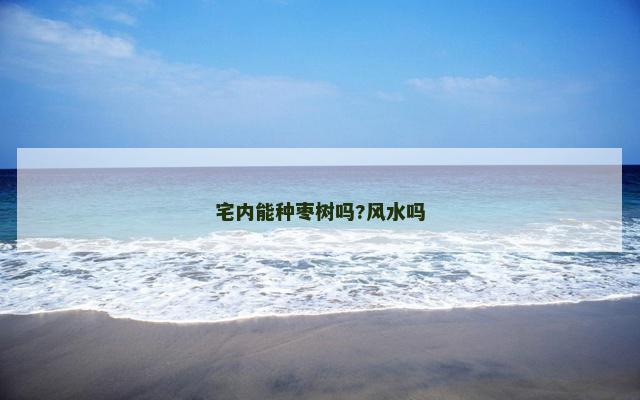 宅内能种枣树吗?风水吗