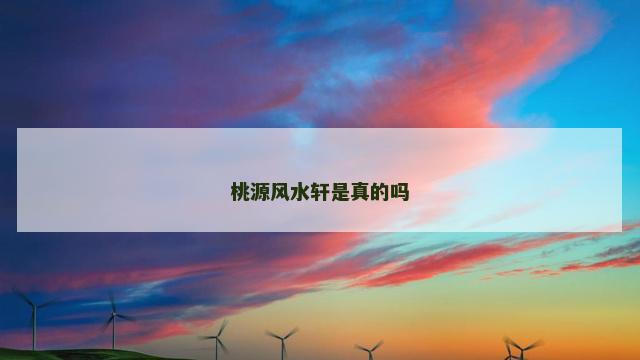 桃源风水轩是真的吗